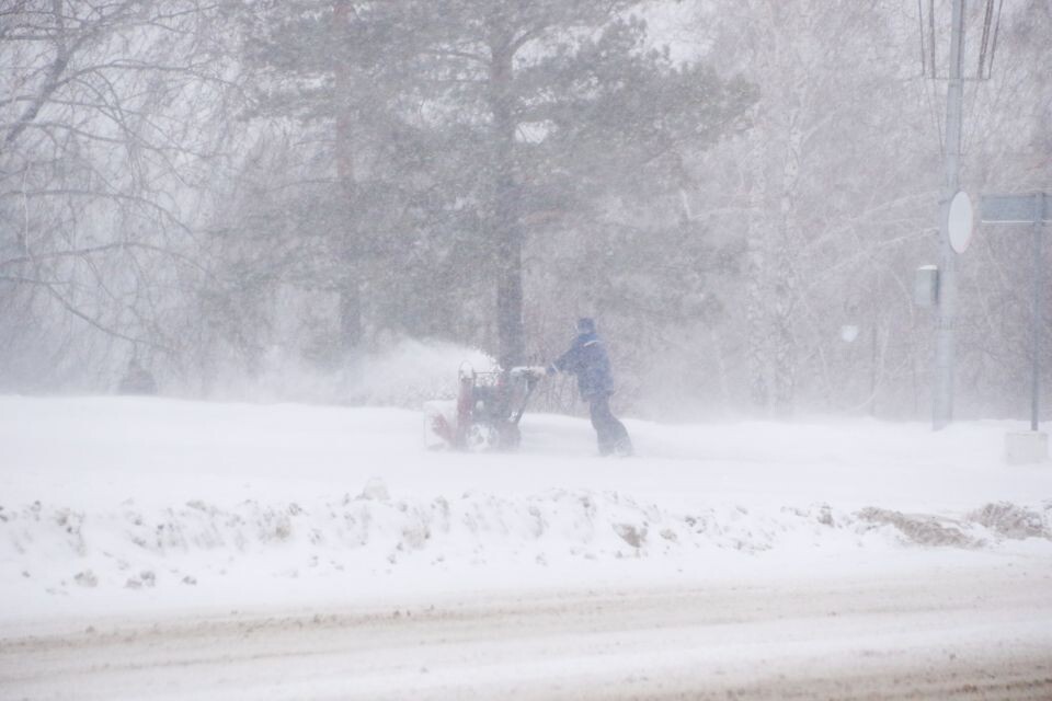    Погода в Барнауле, метель, зима. Источник: Виталий Барабаш