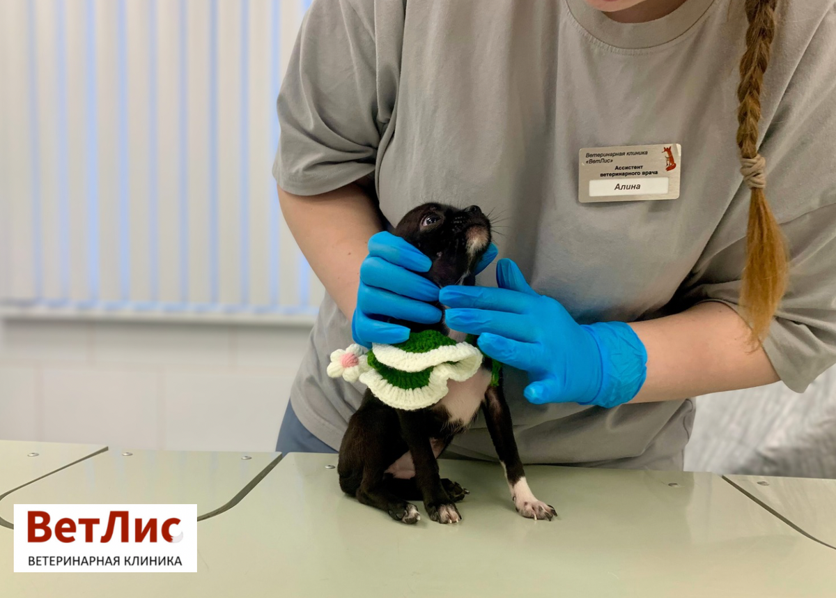 Наш маленький пациент с жалобами на кашель и выделения из носа