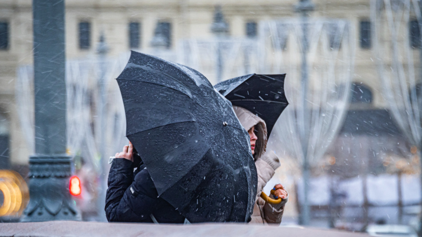    Фото: ИЗВЕСТИЯ/Константин Кокошкин