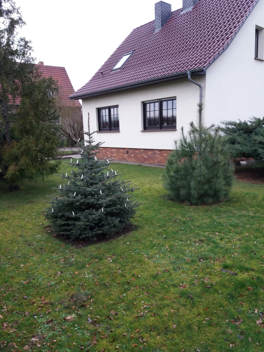 Авторское фото.