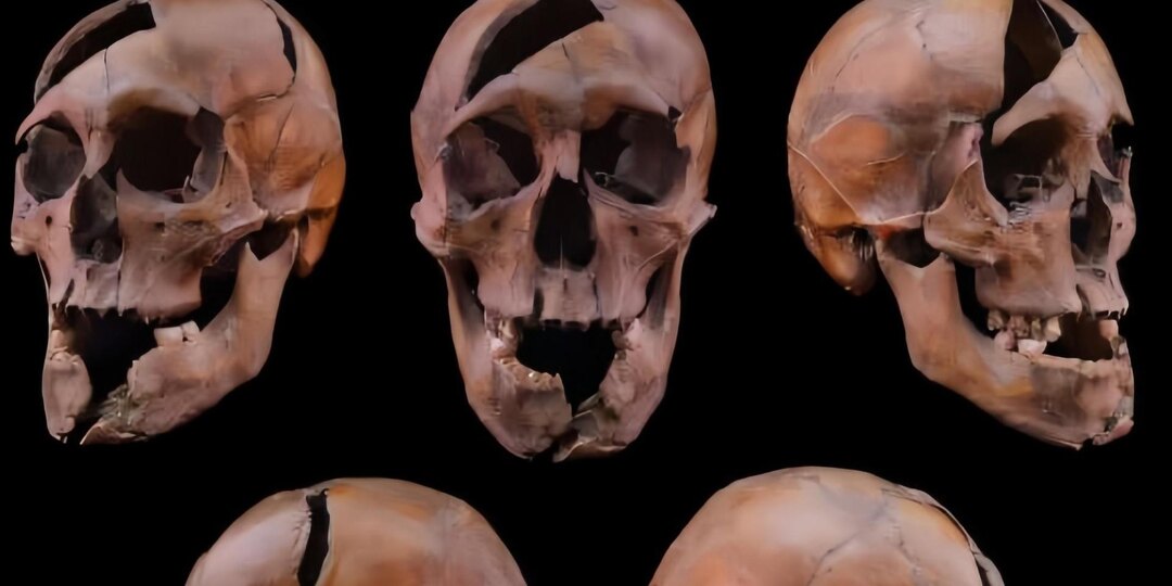 Археологи и генетики идентифицировали останки герцога из династии Рюриковичей