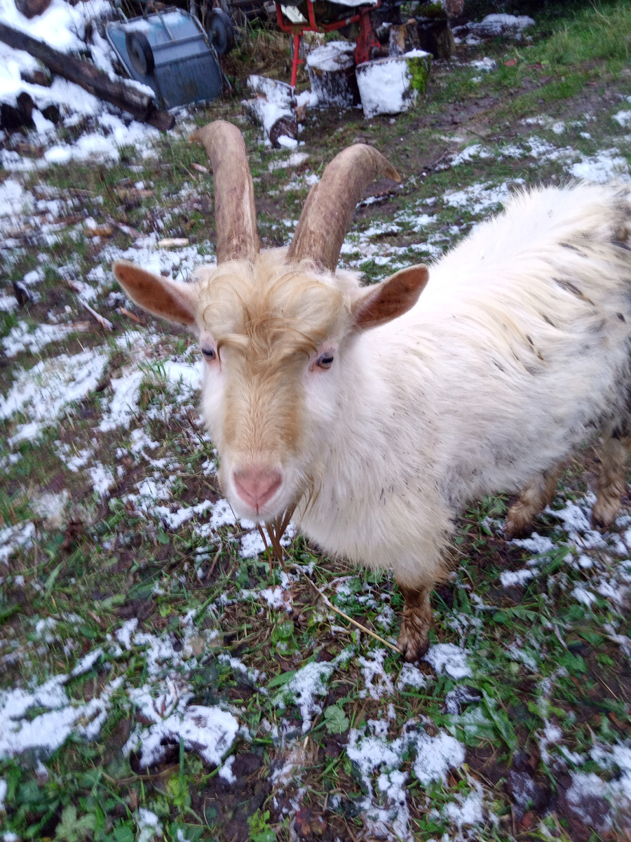 Хоть маленько почище стал.