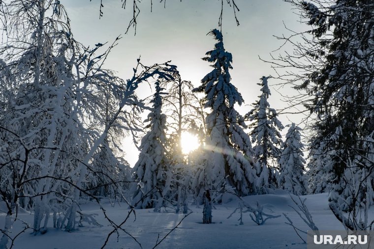     Спустя более месяца с пропажи Усольцевых все еще нет явных следов семьи