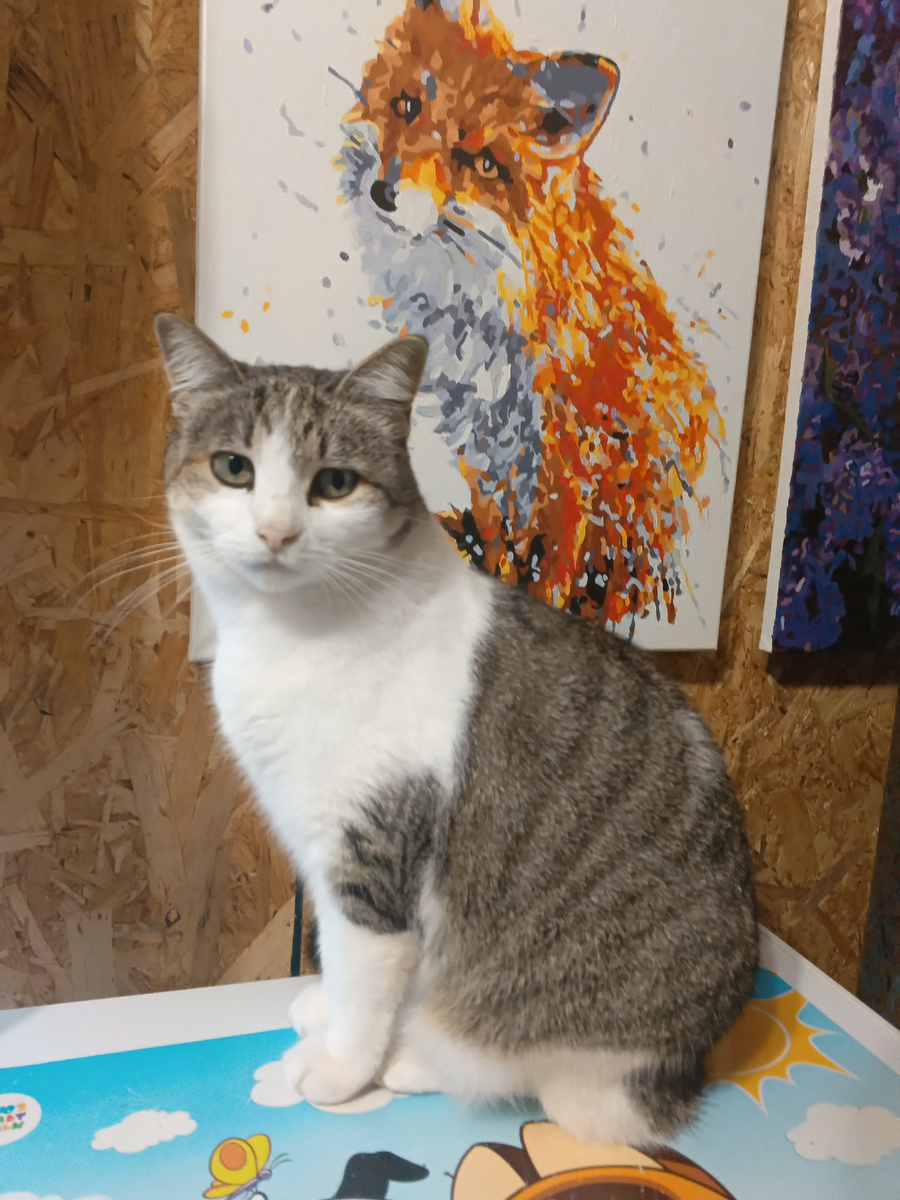 Дуня позирует