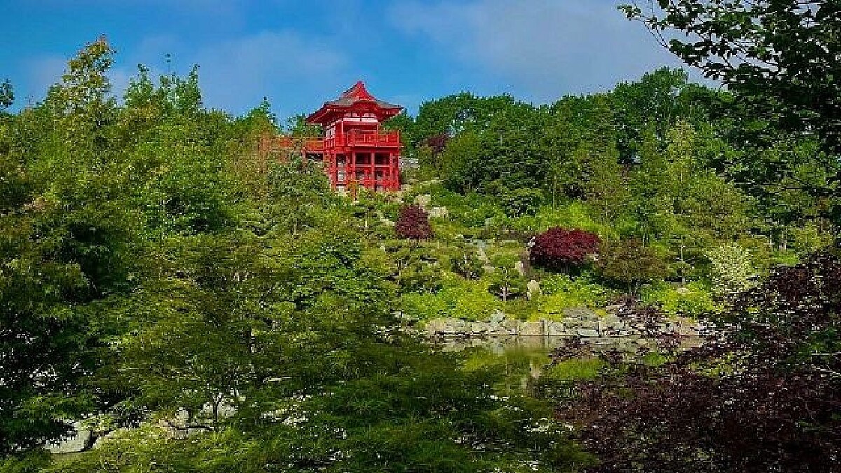    Фото: телеканал «Краснодар»