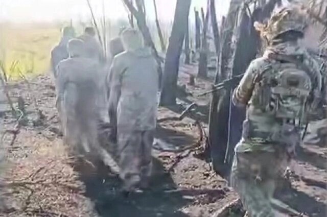    Фото: кадр видео