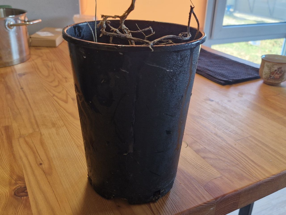    Фото: REGIONS/Наталия Надточая