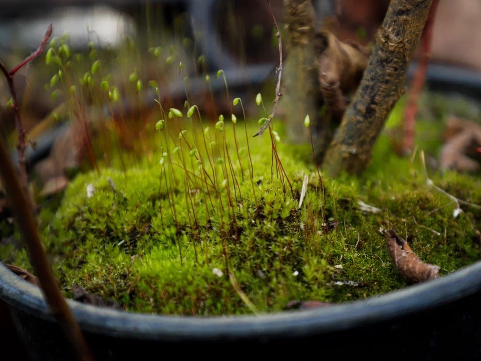     Фото: REGIONS/Наталия Надточая