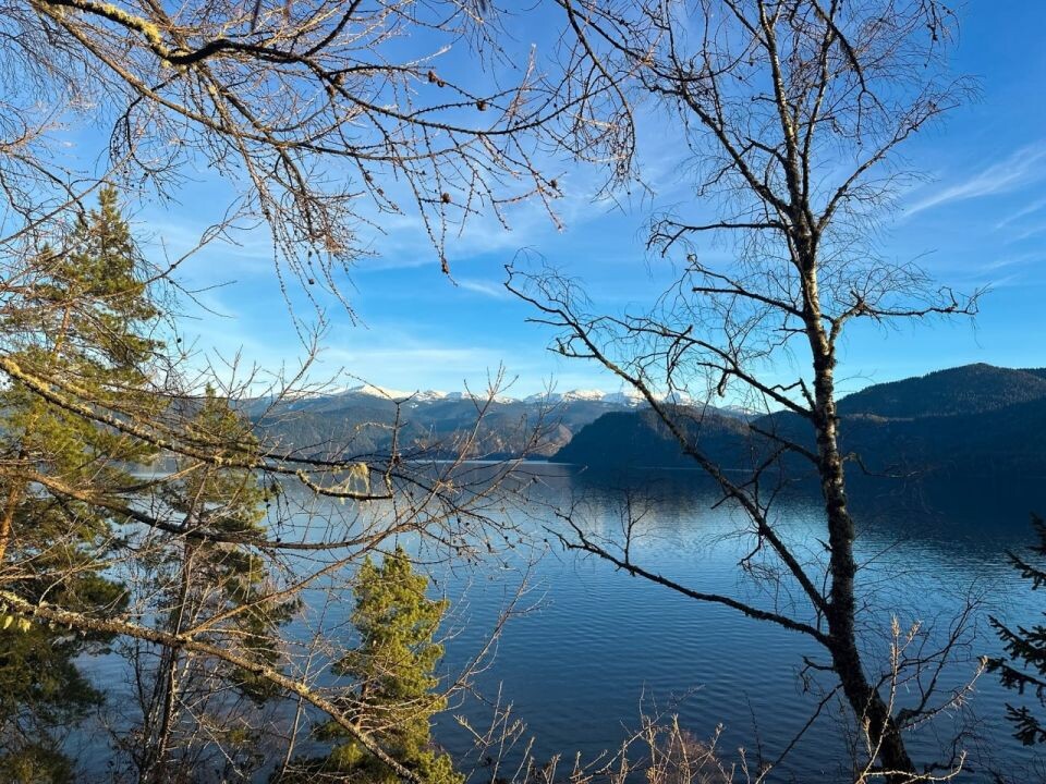    Природа Алтайского заповедника в начале ноября. Источник: Роман и Татьяна Воробьевы