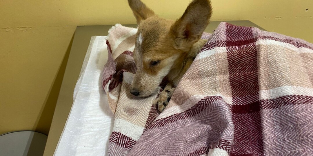 На дне. Но это не роман М.Горького.