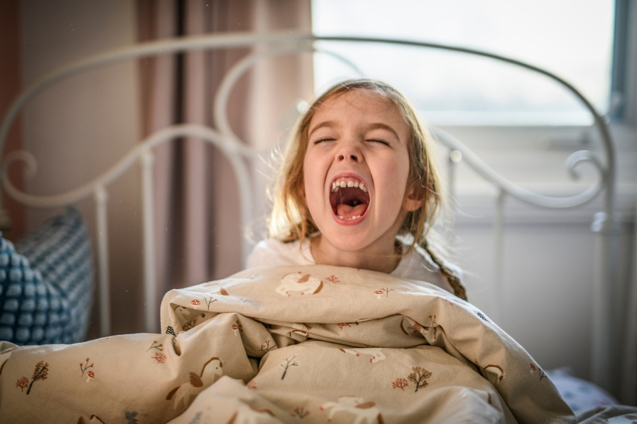    Shutterstock/FOTODOM