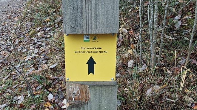 Фото: Дирекция ООПТ Ленинградской области