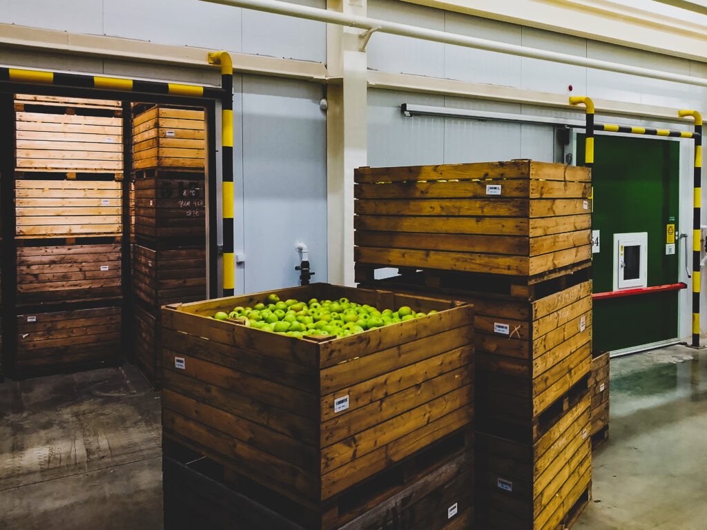      В одну камеру закладывают 250 тонн яблок Редакция