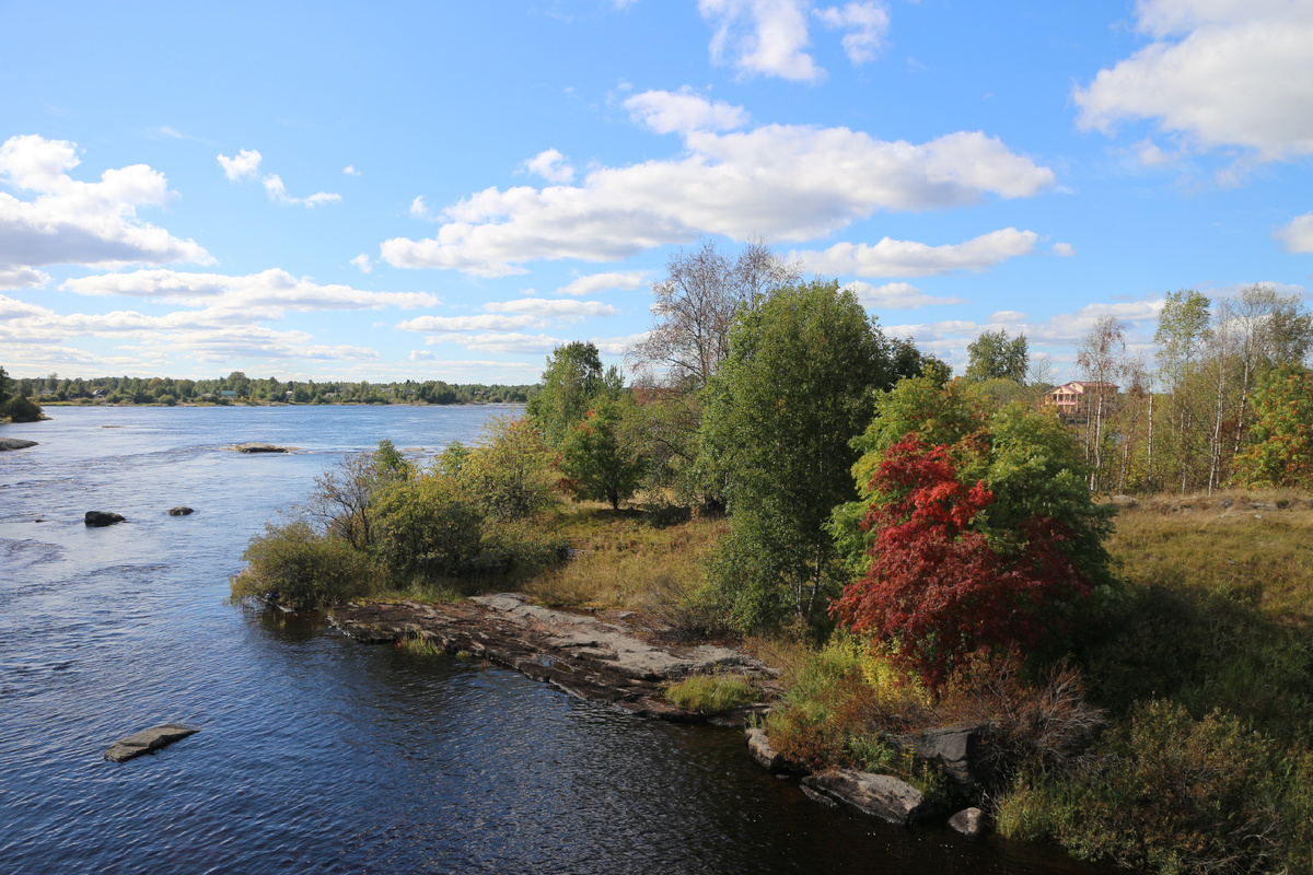 Вид на Выг с Октябрьского моста.