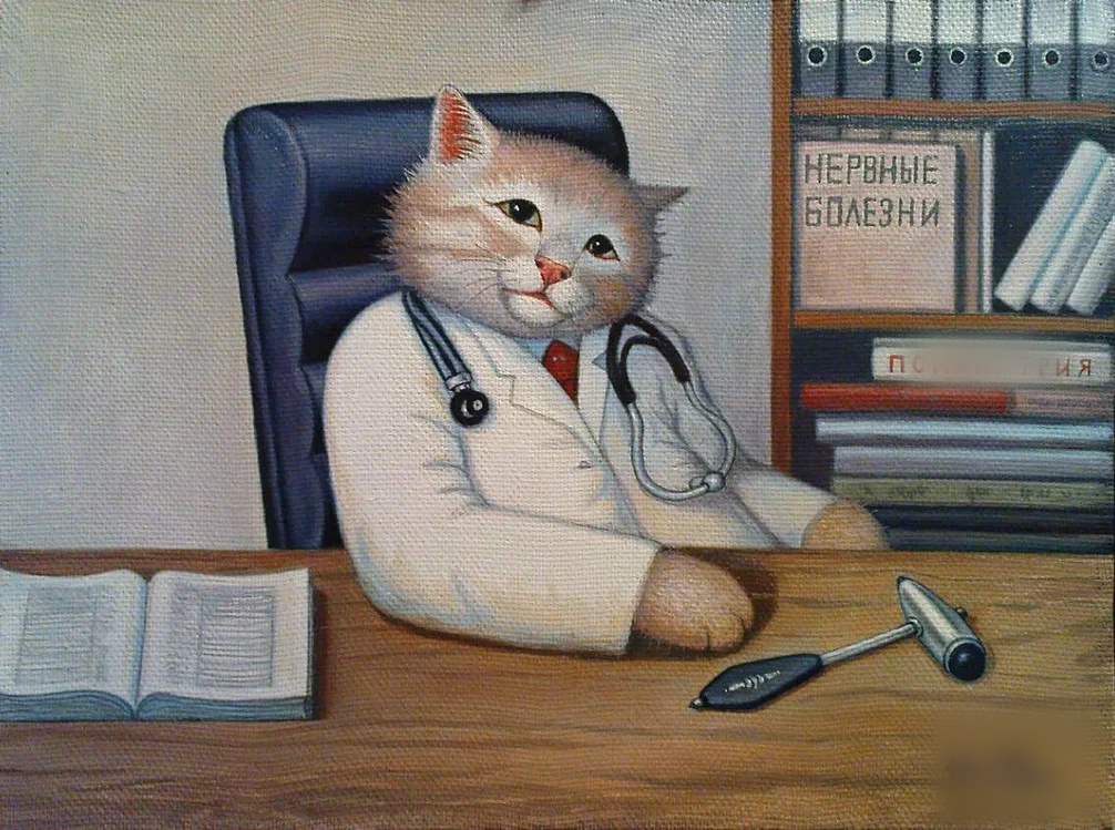 Всех излечит-исцелит добрый Котик-Айболит!