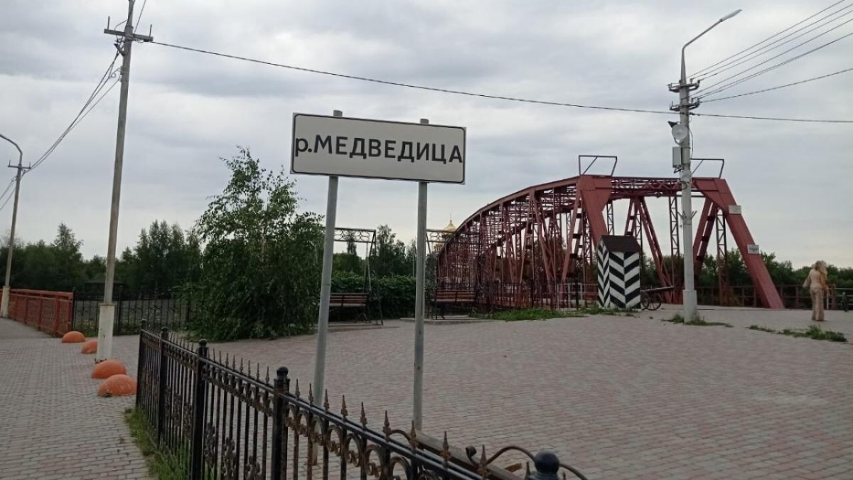    На пешеходной улице Петровска высадят ели и золотые дубыНовости Саратова и области – Сетевое издание «Репортер64»