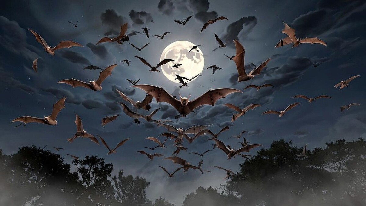    Изображение создано при помощи ИИ.