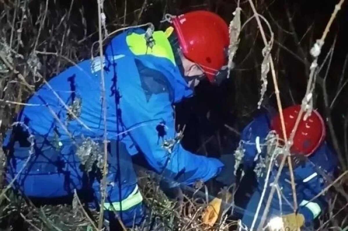    В Удмуртии спасатели достали из холодной воды запутавшуюся в кустах собаку