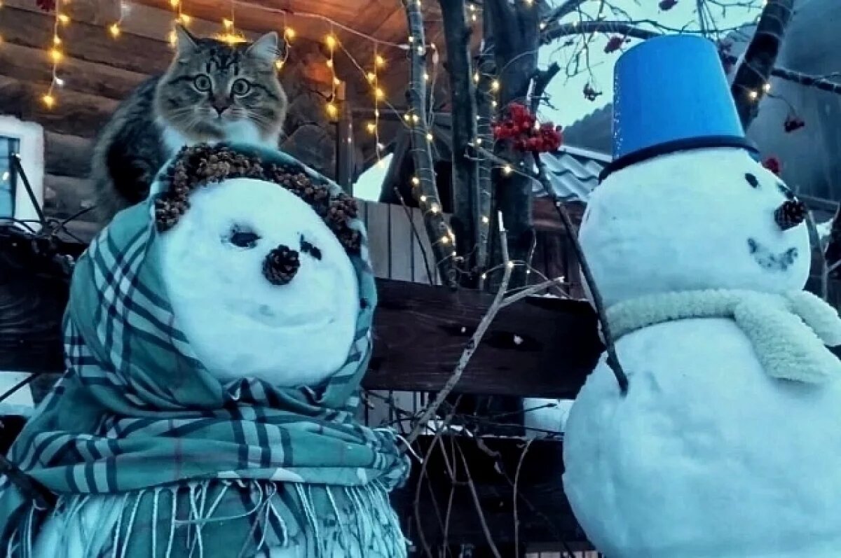    В Саратове выставили на продажу «руки снеговика» за 490 рублей