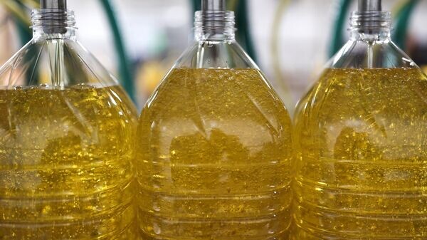    © РИА Новости . Виталий Тимкив