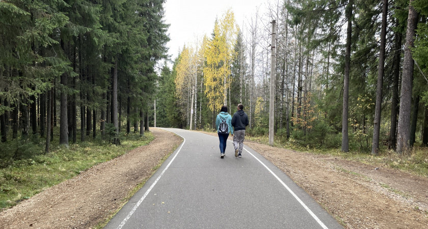    Счастье барабанит в дверь: четырём знакам зодиака откроется путь к богатству и удаче с 8 ноября