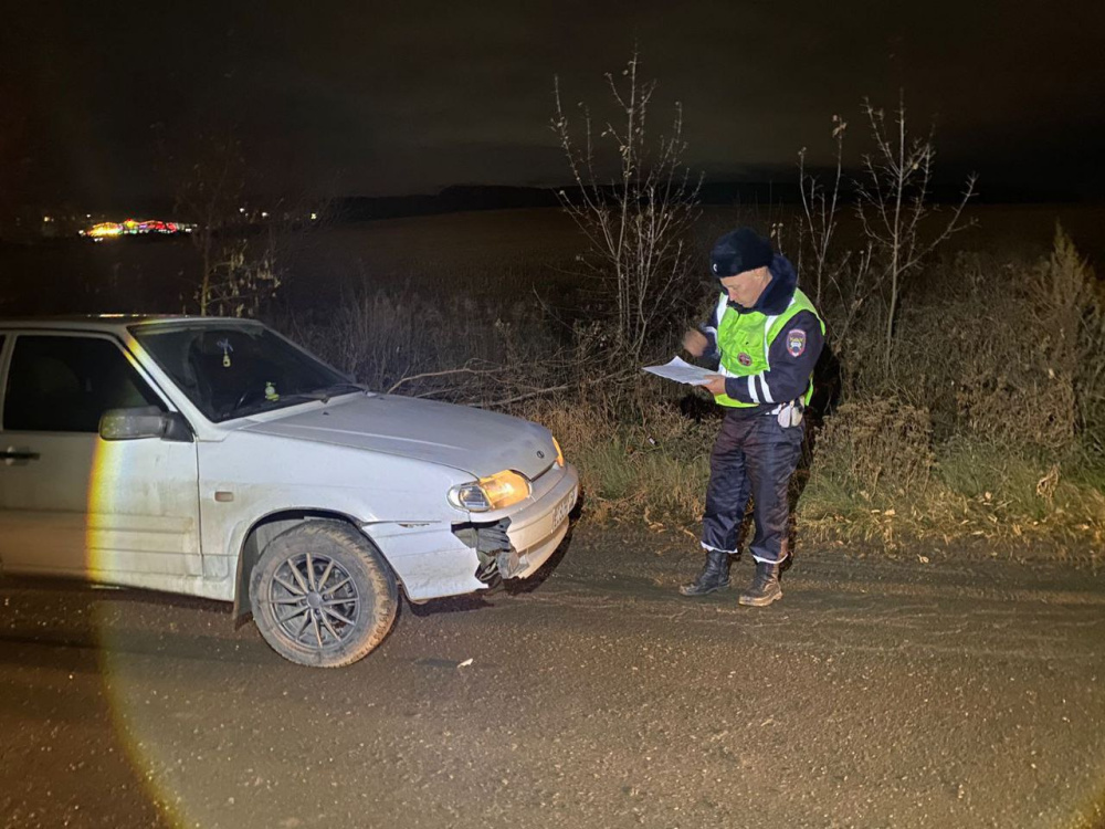     Фото: ГИБДД Свердловской области
