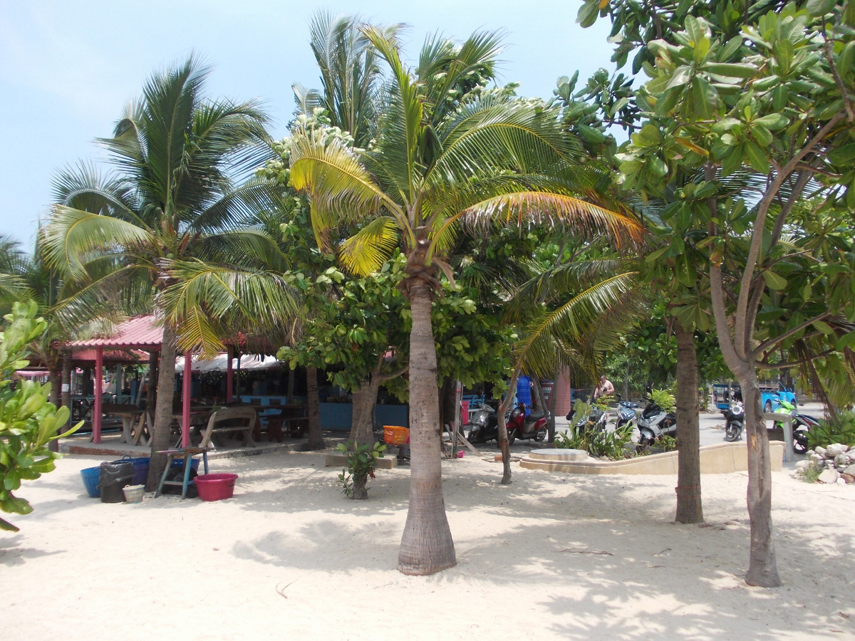За деревьями - пляжное кафе,  где мы обедали. Цены незначительно выше,  чем на материке 