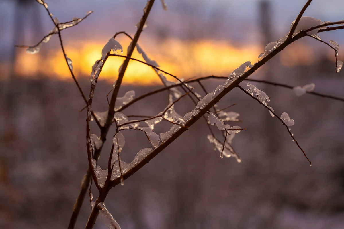 Фото: Морозный закат после дневной оттепели / Геннадий Григорьев