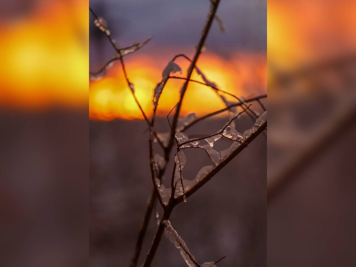 Фото: Геннадий Григорьев