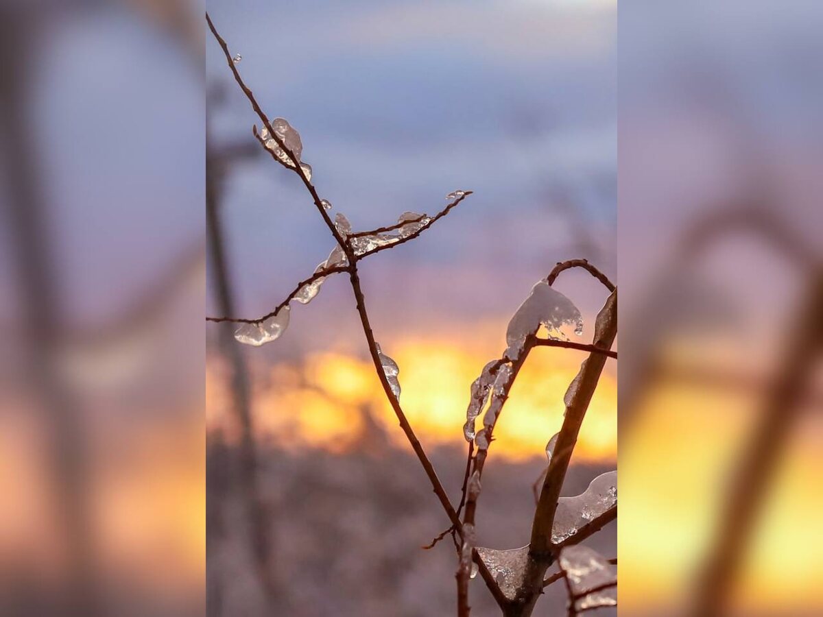 Фото: Геннадий Григорьев