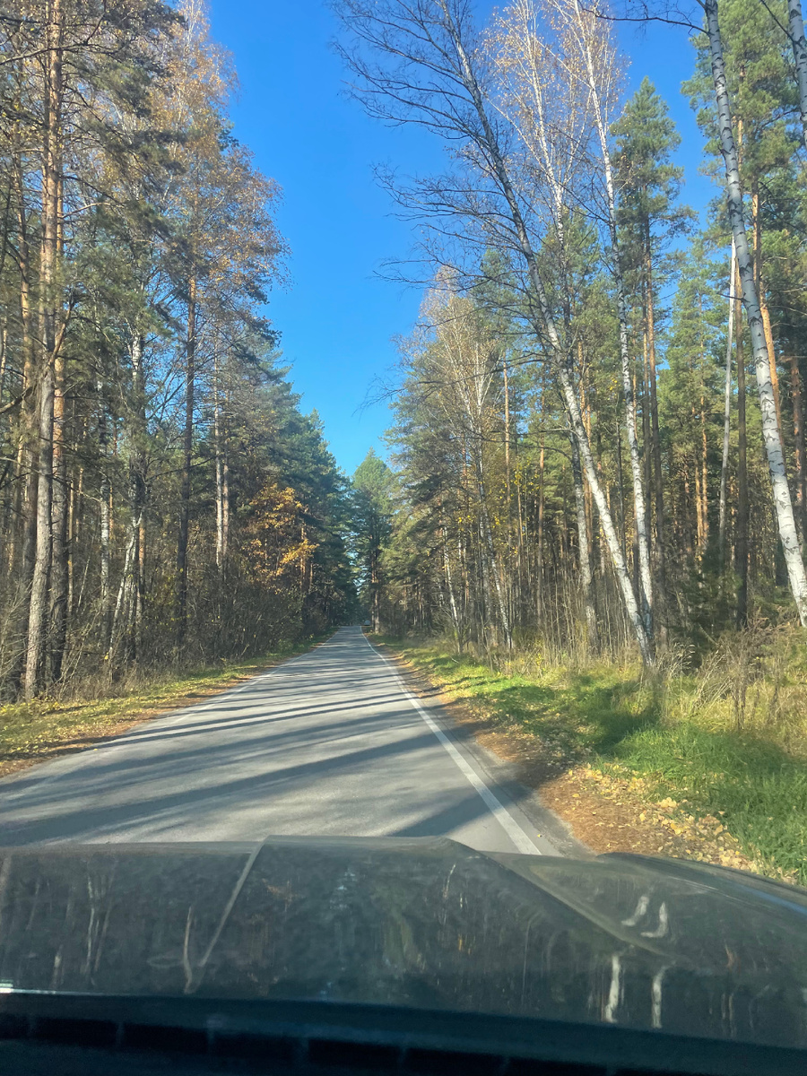 Дорога через осенний лес.