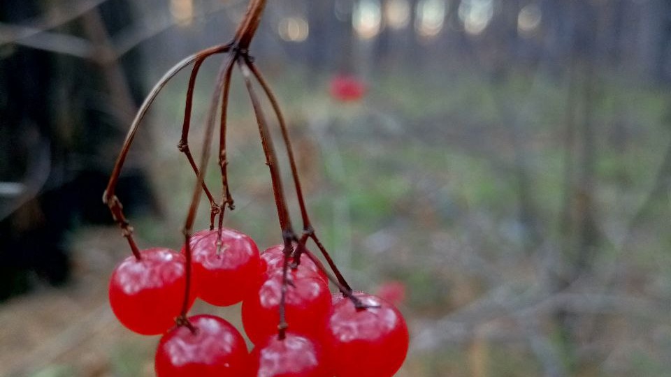 Энергия, которую вы излучаете, — это та же энергия, которую вы начинаете принимать