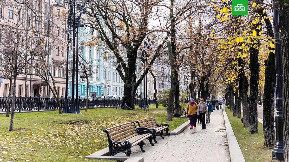    Фото: Владимир Охрименко \ mos.ru