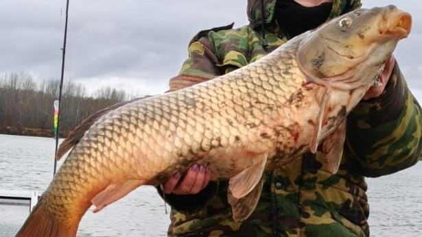    Фото: ВК-сообщество "РыбаНуТыЕ"