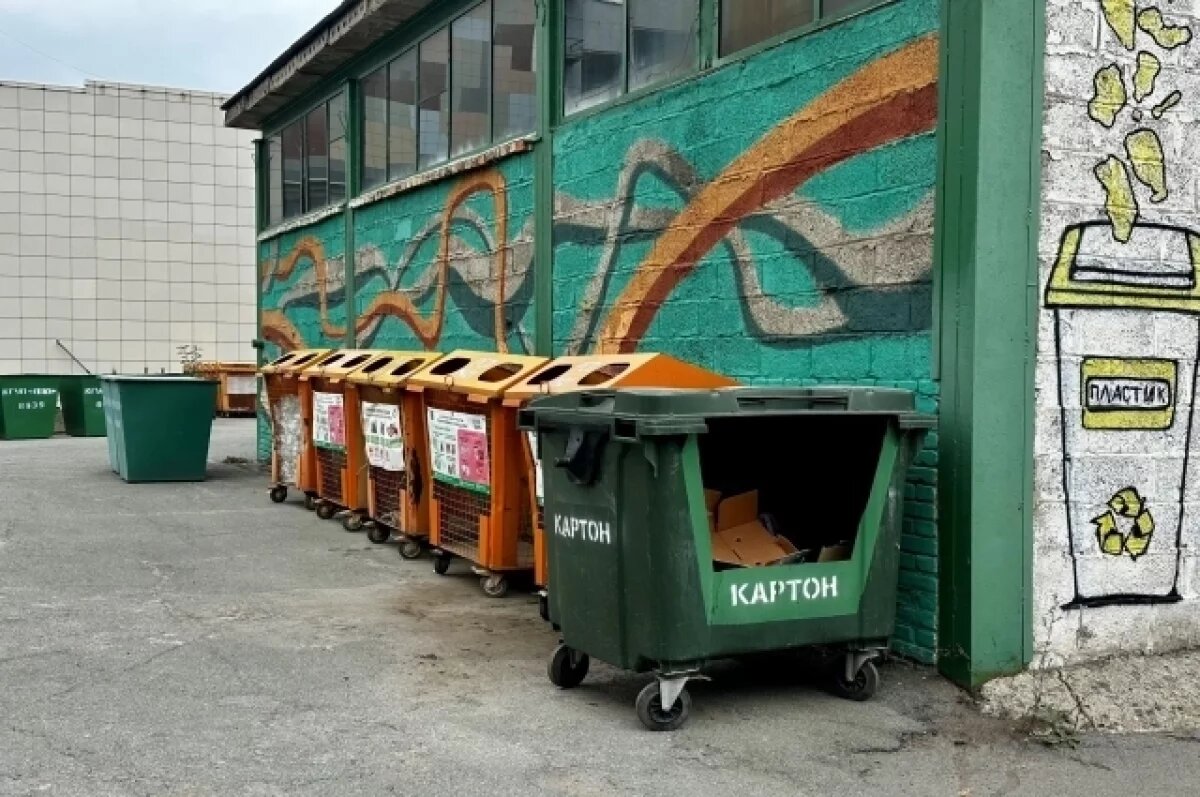    Петербургу запретят сброс веток и строительного мусора в контейнеры для ТКО