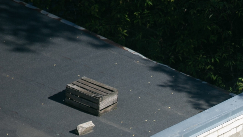      Фото: Валерия Алтухова / / ИА «Победа26»