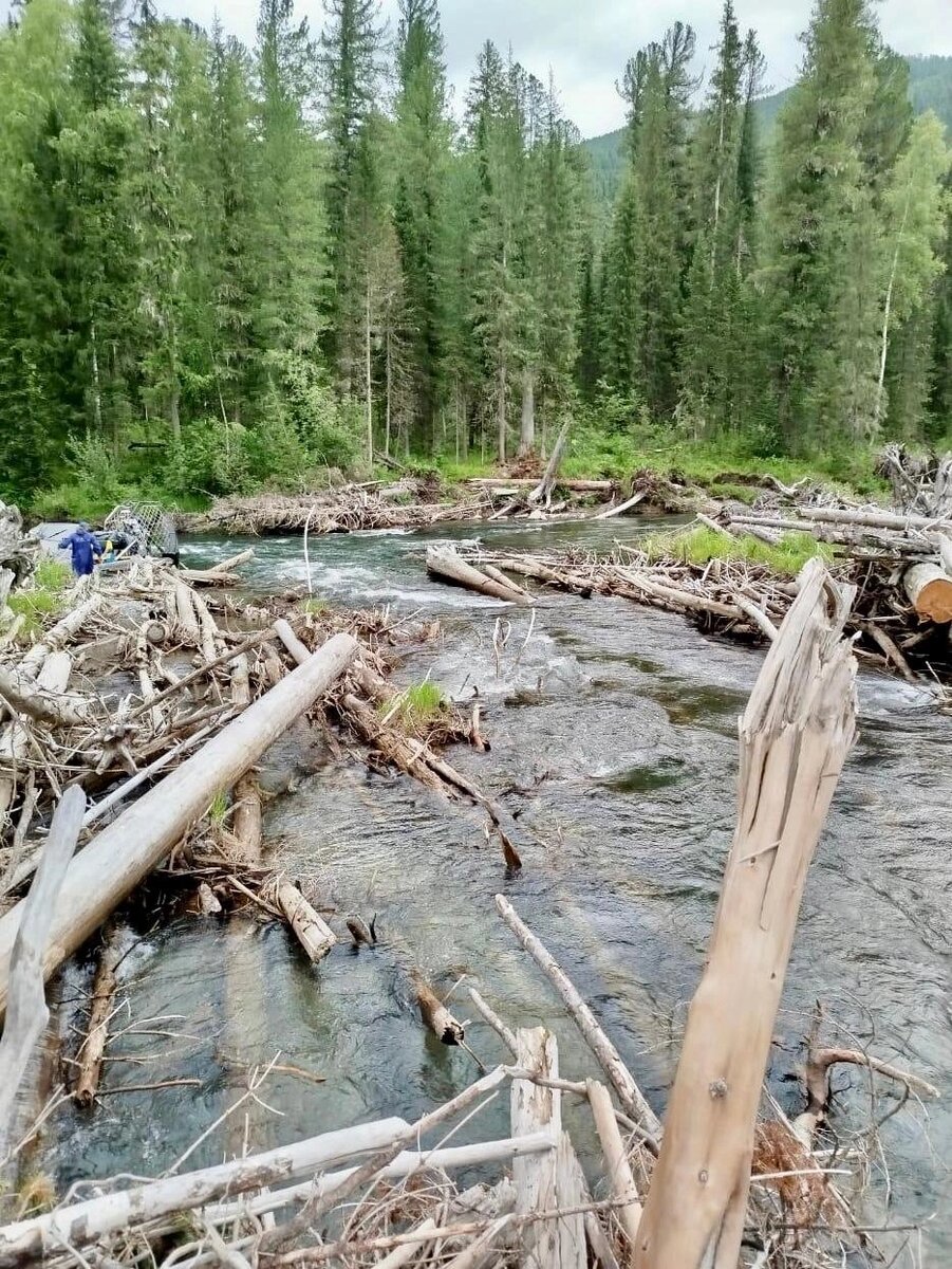    Бурная река бывает очень опасна. Фото: Фонд «Вольное Дело»
