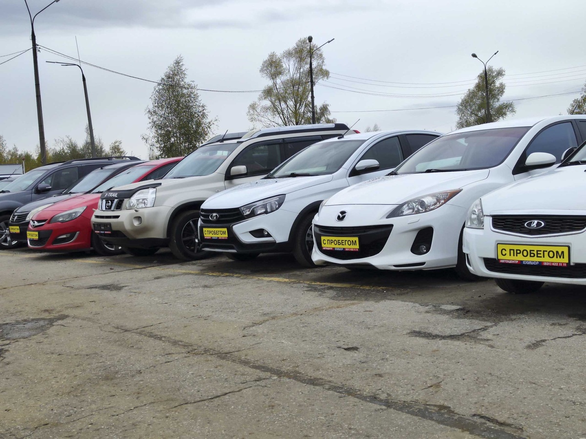 Из-за наплыва оказались переполнены склады временного хранения.  Фото: Фото: ФедералПресс / Ксения Кобалия