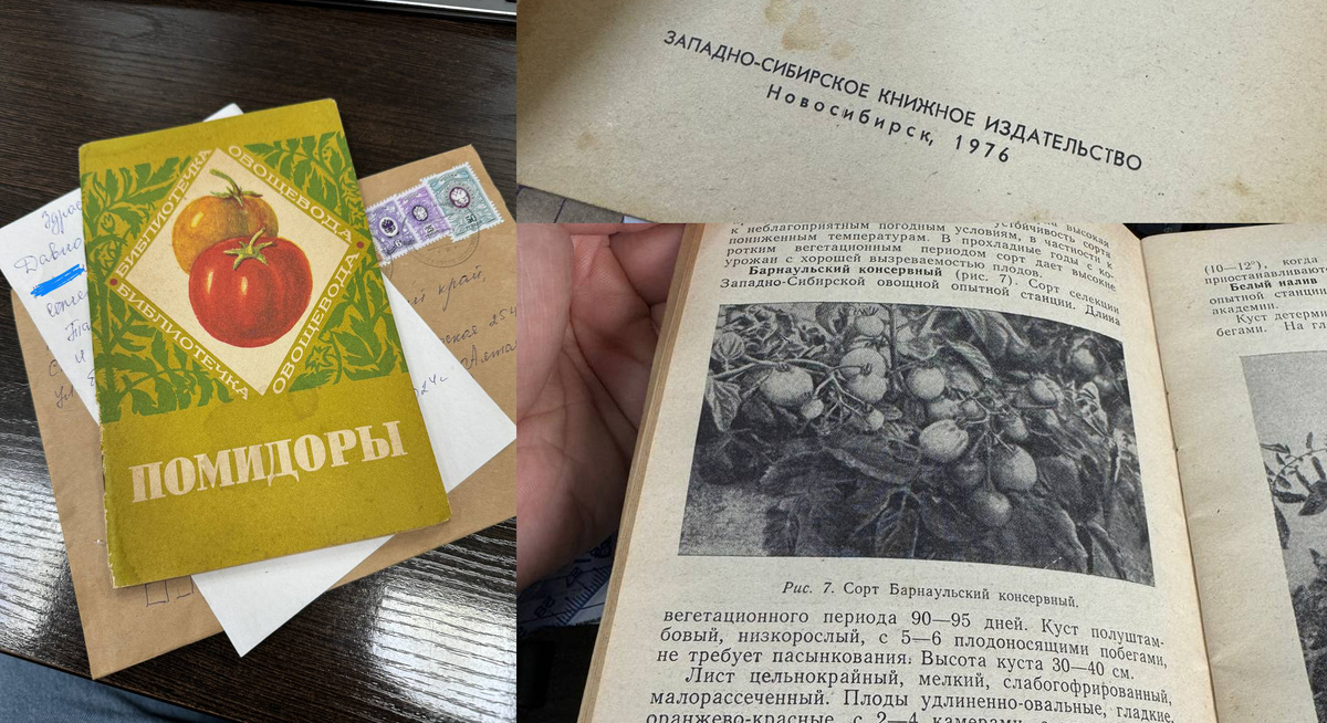 Чтобы было понятно, насколько этот сорт старый, он упоминается в книге от 1976 года