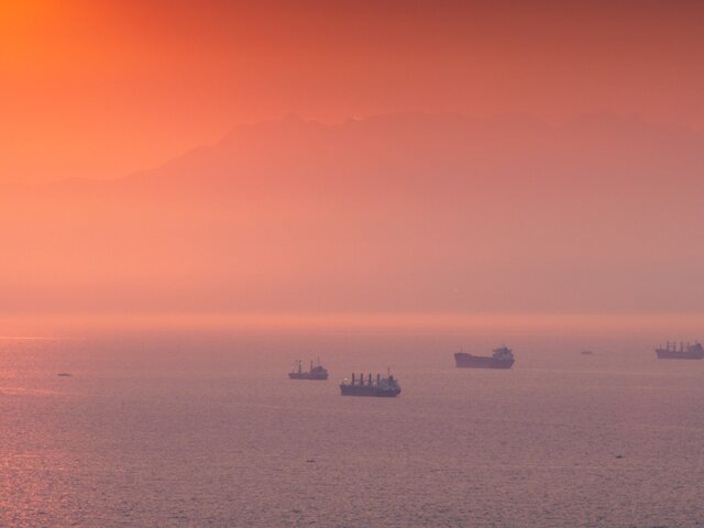    Фото: 123RF.com/bugking88