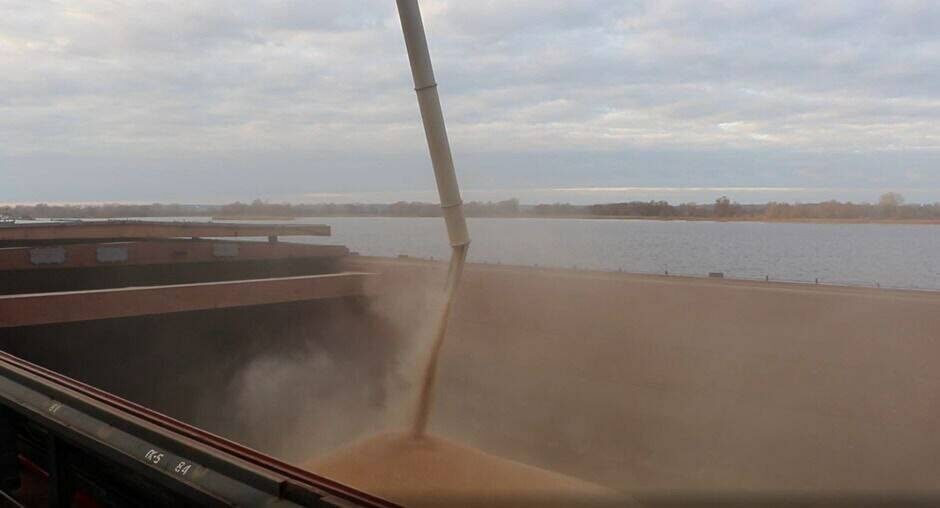 Фото: Филиал Федерального центра оценки безопасности и качества продукции агропромышленного комплекса в РТ