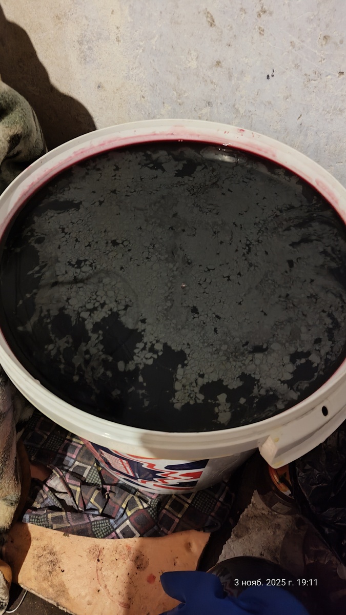 Первое вино из  винограда Молдова.