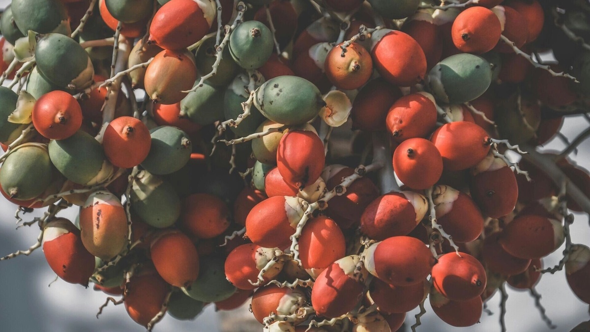 Фото: Tristan Le, pexels.com