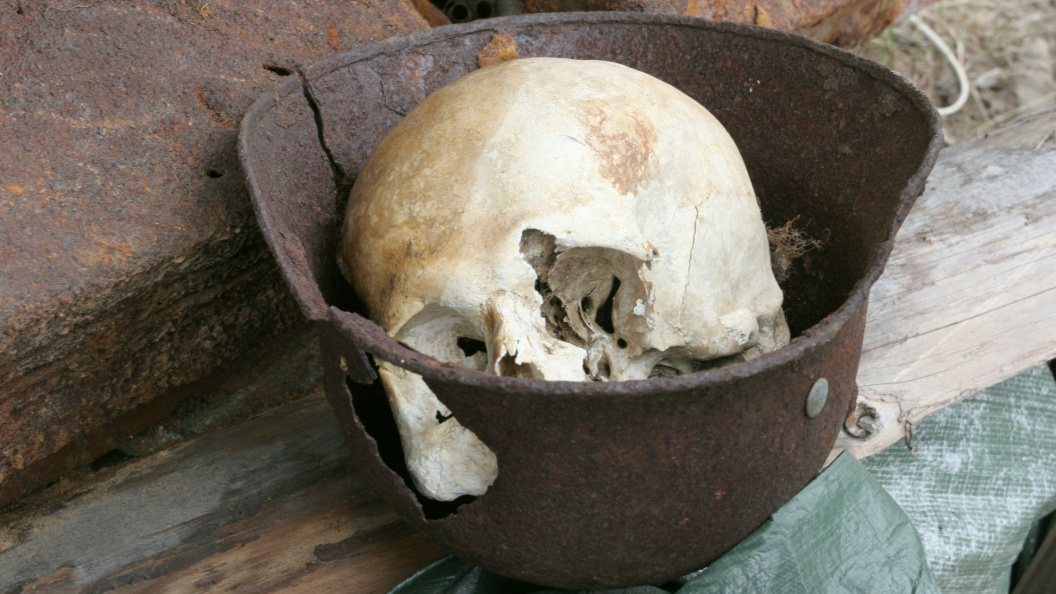    Zamir Usmanov/Russian Look/Globallookpress