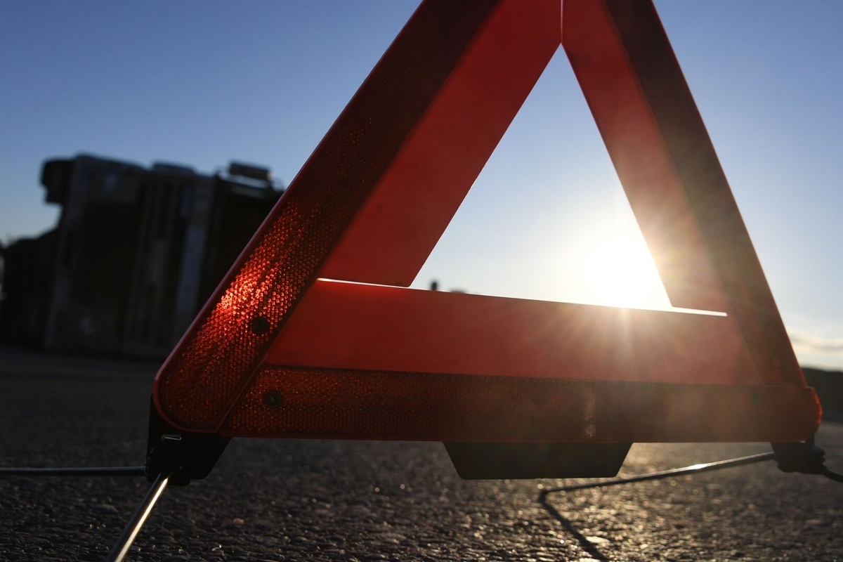    Фото: Александр Полегенько, источник: ria.ru