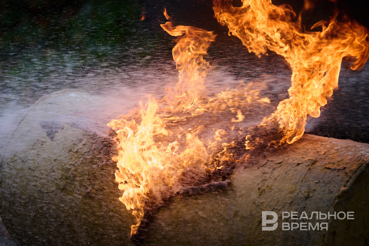   Динар Фатыхов / realnoevremya.ru