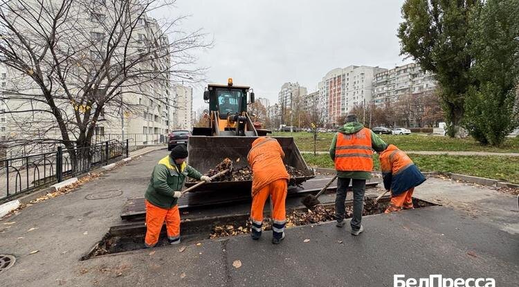 Фото: Валерия Шатько