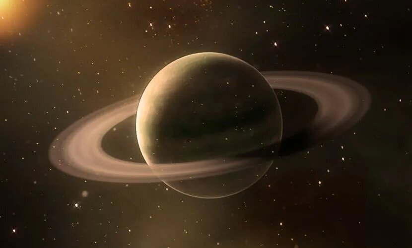 Источник: freepik / freepik.com