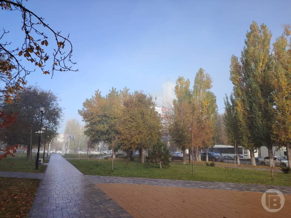    Фото: "Городские вести"