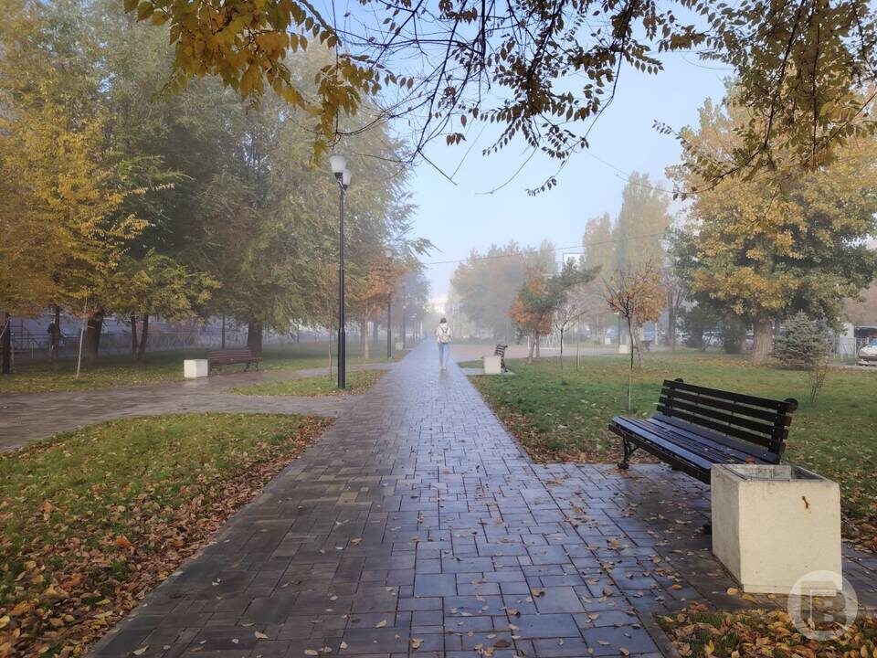    Фото: "Городские вести"